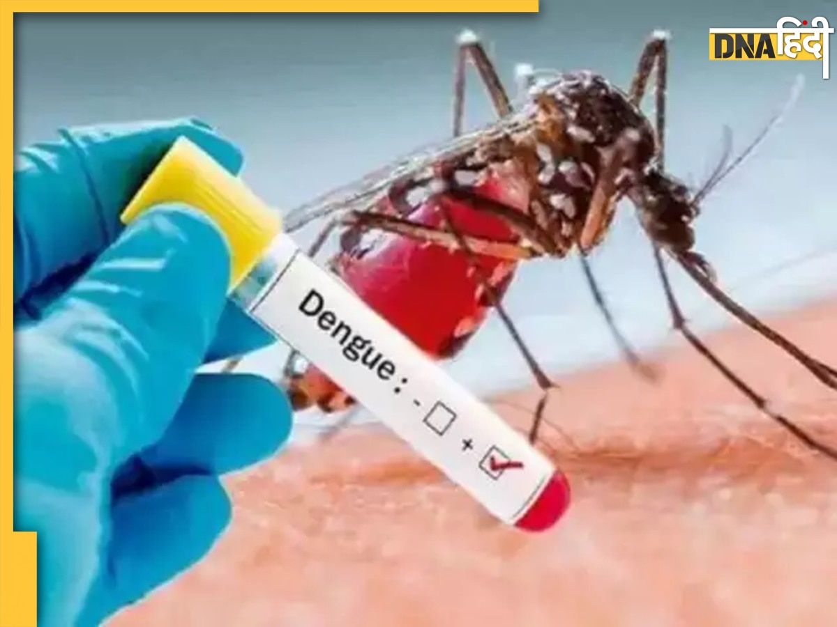 Karnataka Dengue Case: कर्नाटक में डेंगू का कहर, बेंगलुरु में ही 7 लोगों की मौत, स्वास्थ्य विभाग ने जारी किया अलर्ट