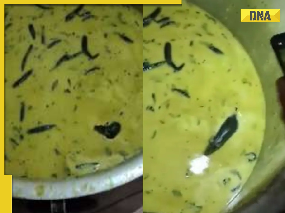 Watch: Rat found swimming in chutney in Hyderabad college's hostel canteen, video goes viral