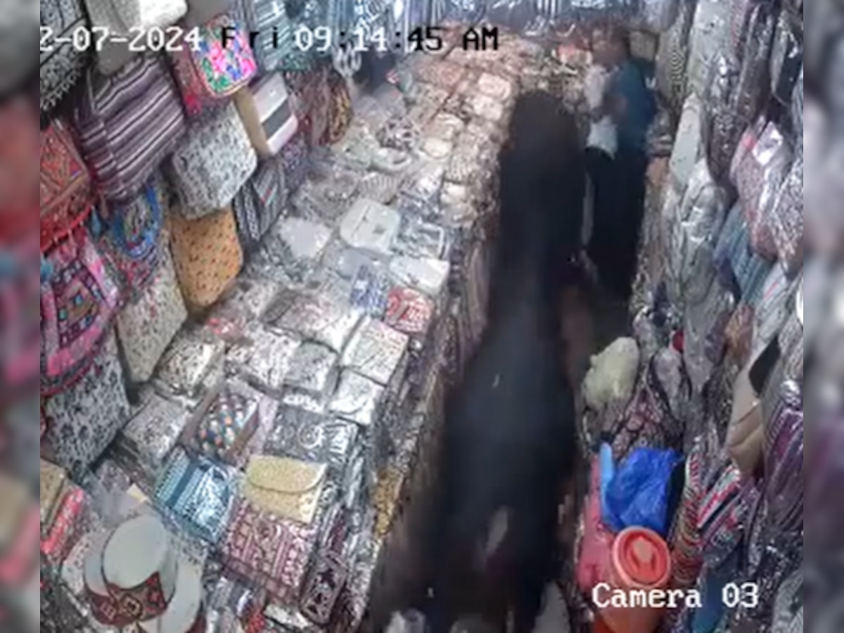 Viral video: Raging bulls cause chaos in Rishikesh shop, injure two women