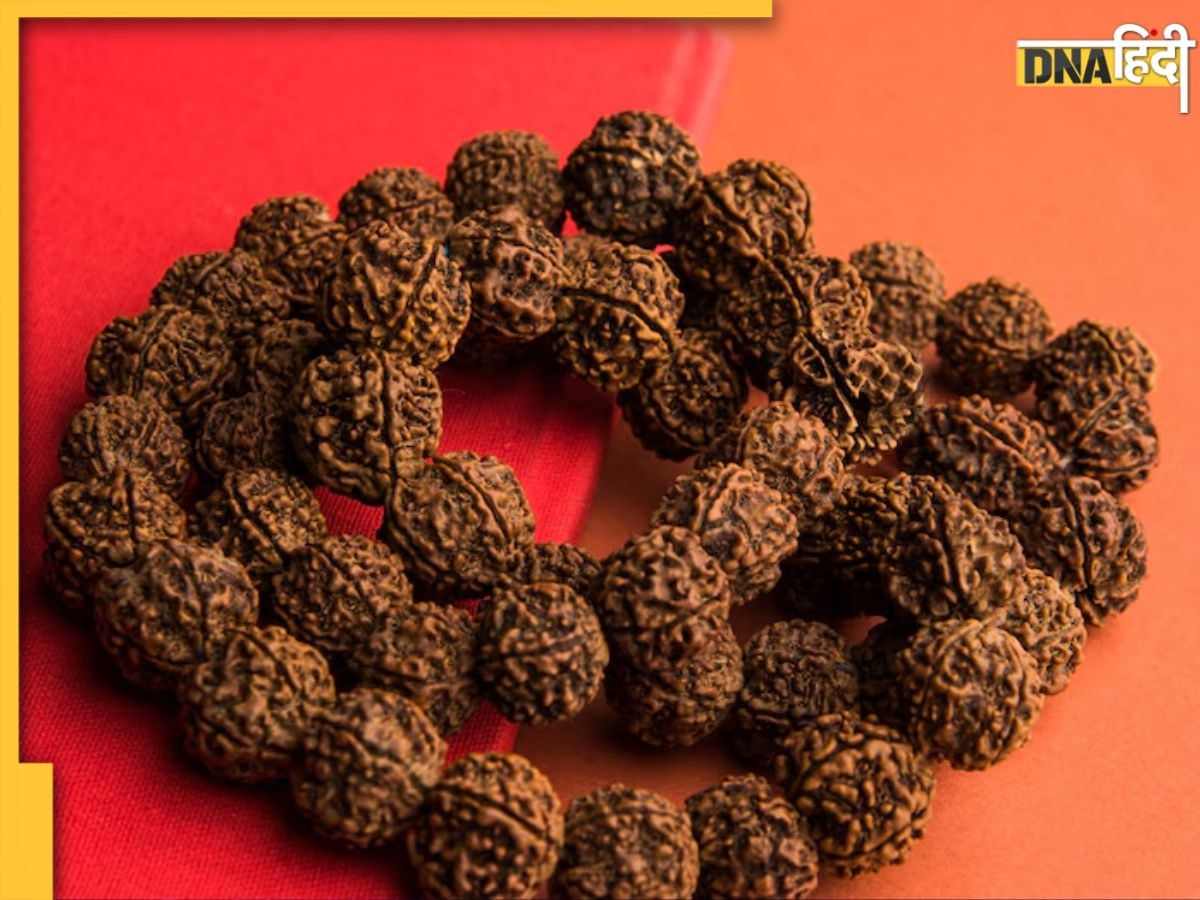 किस राशि के लोगों को कौन सा Rudraksha करना चाहिए धारण? जान लें नियम