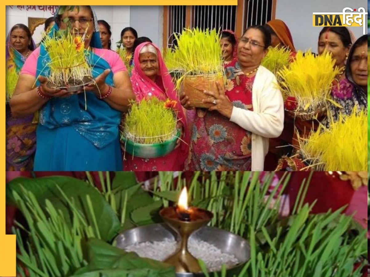 Harela: उत्तराखंड में आज हरेला बोने के साथ शुरू हुआ हरियाली का पर्व, जानें क्यों मनाते हैं ये त्योहार