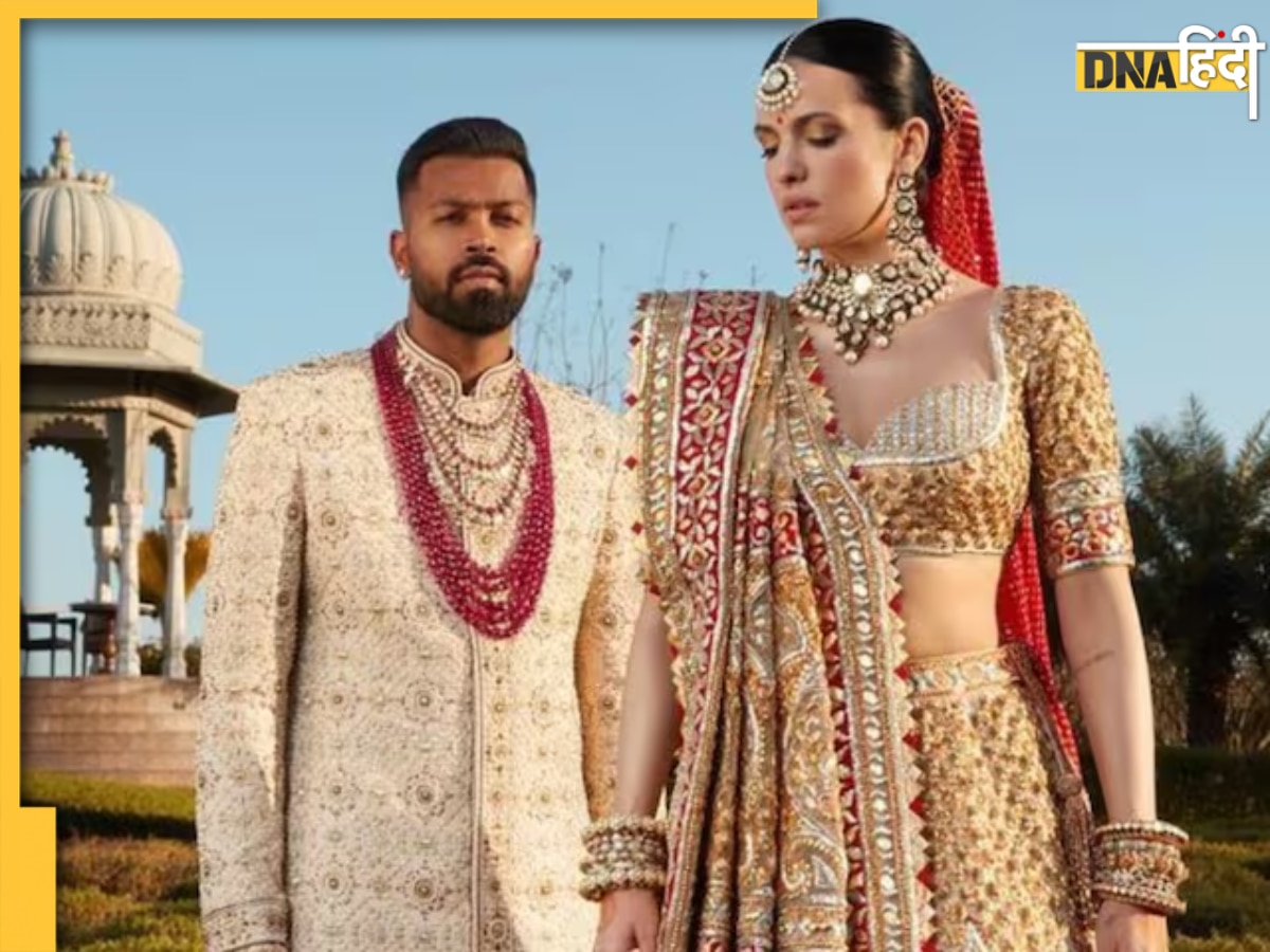 Hardik Pandya Natasa Stankovic Divorce: हार्दिक-नताशा का तलाक कन्फर्म, क्रिकेटर ने बताया कौन करेगा बेटे की परवरिश