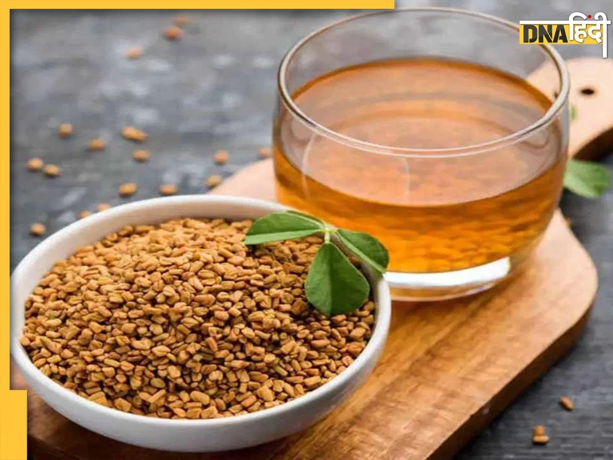 Fenugreek Seeds Benefits: वजन कम करने के साथ ही झड़ते बालों को मजबूत कर देगी मेथी, जानिए इसके और भी फायदे