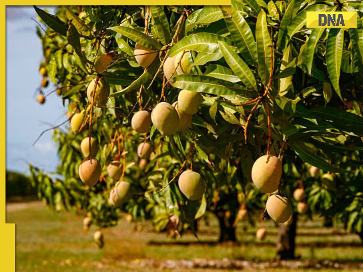 This billionaire is world's largest mango exporter, owns largest ...