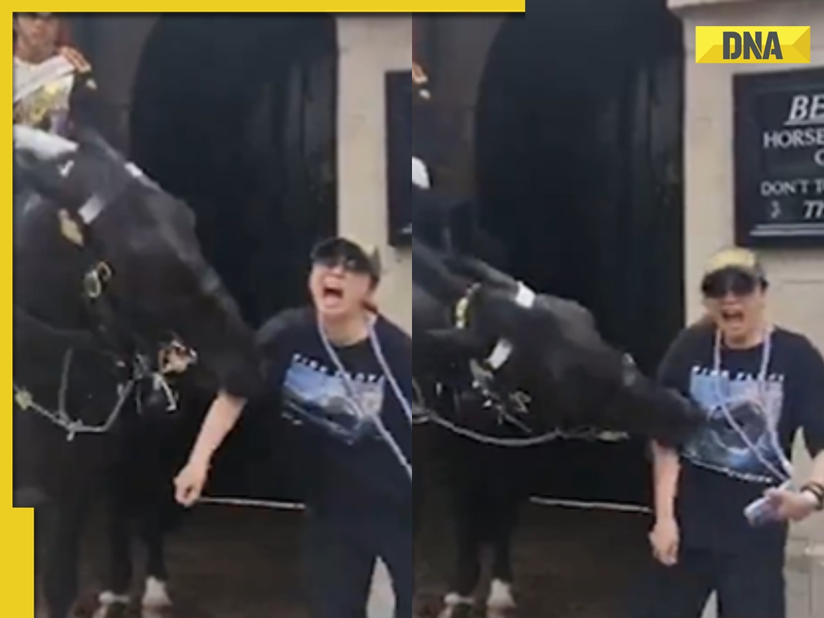 Viral video: Woman's photo op turns painful as king's guard horse bites her arm, watch