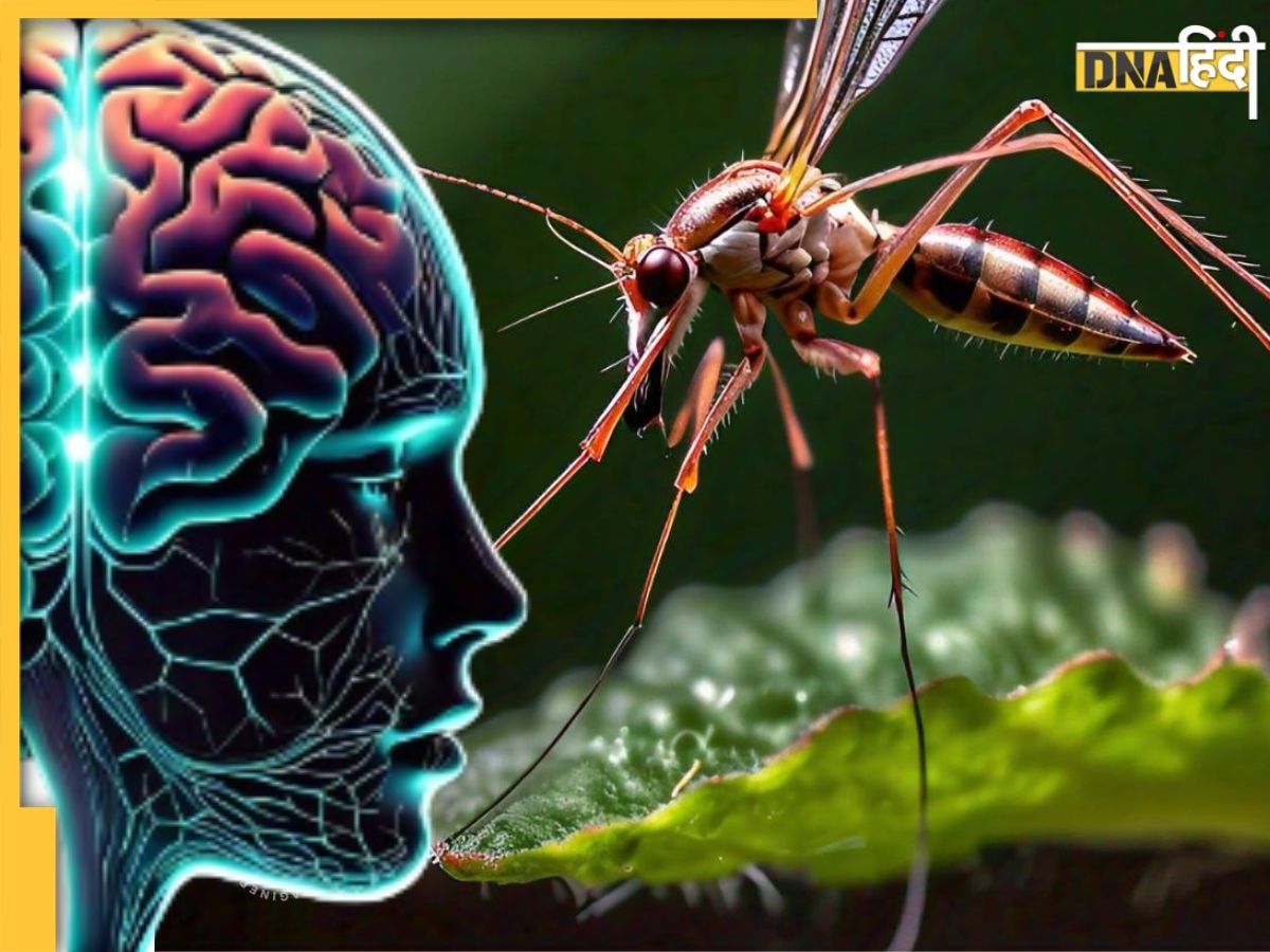 शरीर ही नहीं, दिमाग और Nervous System पर भी अटैक करता है Dengue