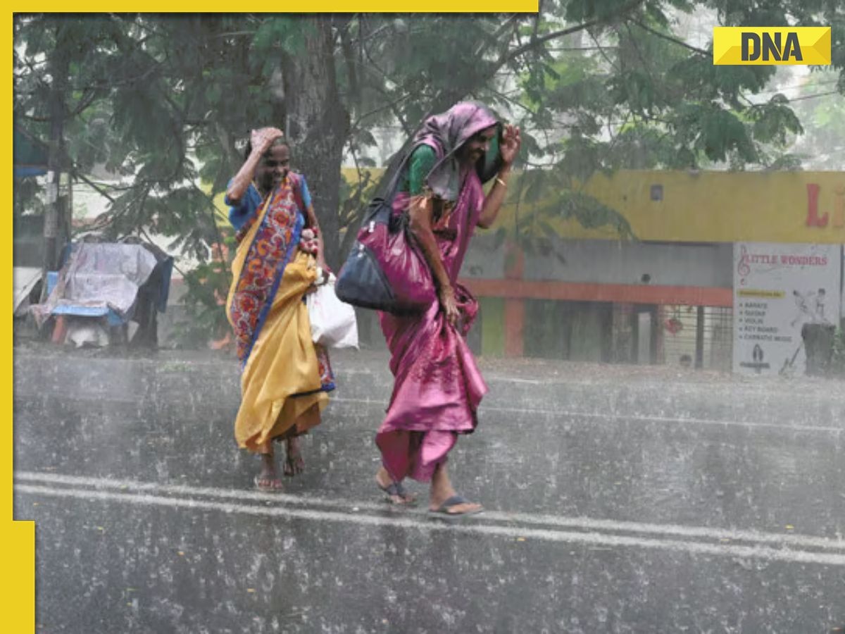 Weather update: IMD issues orange alert for heavy rain in these districts on July 28, check details 