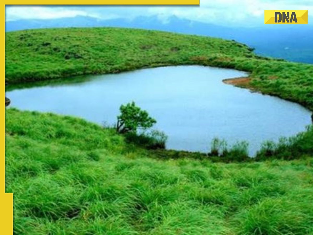 6 hidden gems to satisfy your wanderlust in Wayanad, Kerala