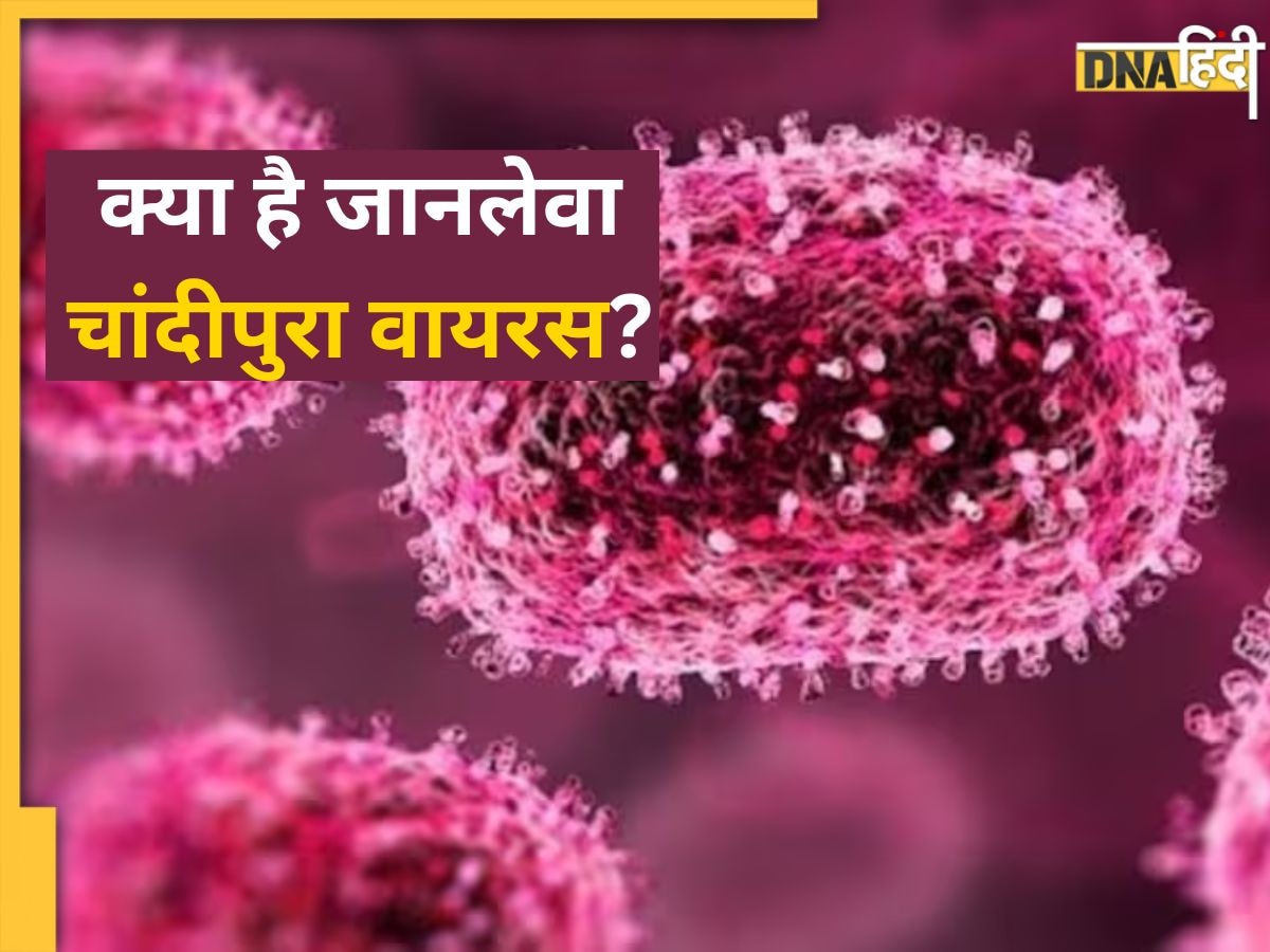 क्या है Chandipura Virus? गुजरात के बाद राजस्थान में पैर पसार रही ये खतरनाक बीमारी