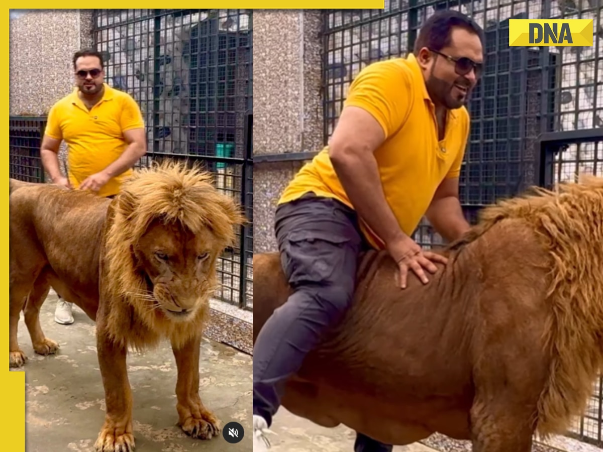 Pakistani man rides lion in viral video, internet slams him