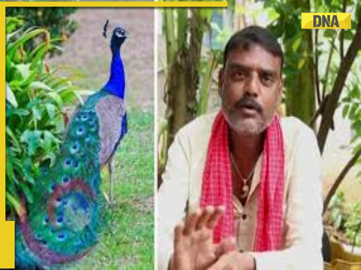 Telangana YouTuber shoots video featuring 'peacock curry' recipe, arrested after…