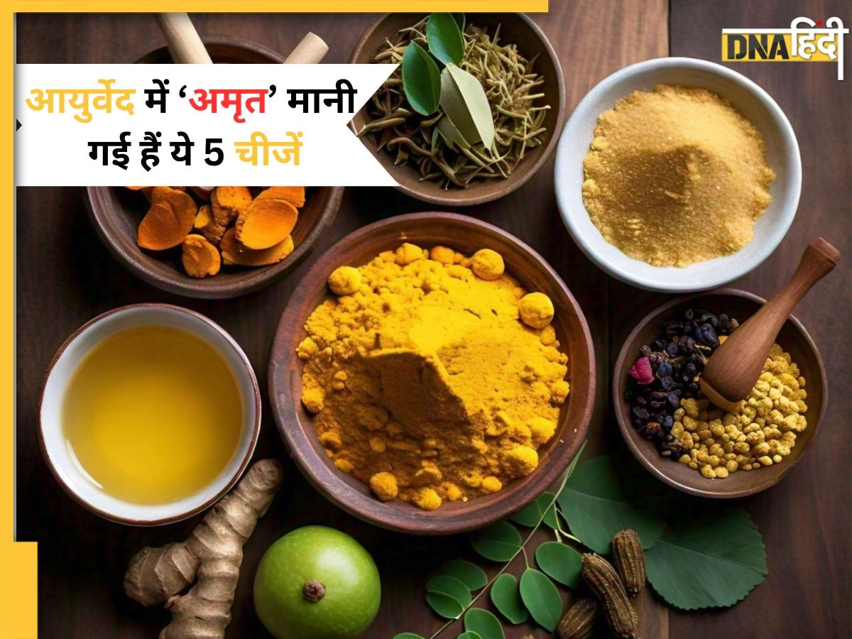 Ayurveda में इन 5 चीजों को माना जाता है 'अमृत', एक नहीं, इनमें छिपा है कई बीमारियों का इलाज