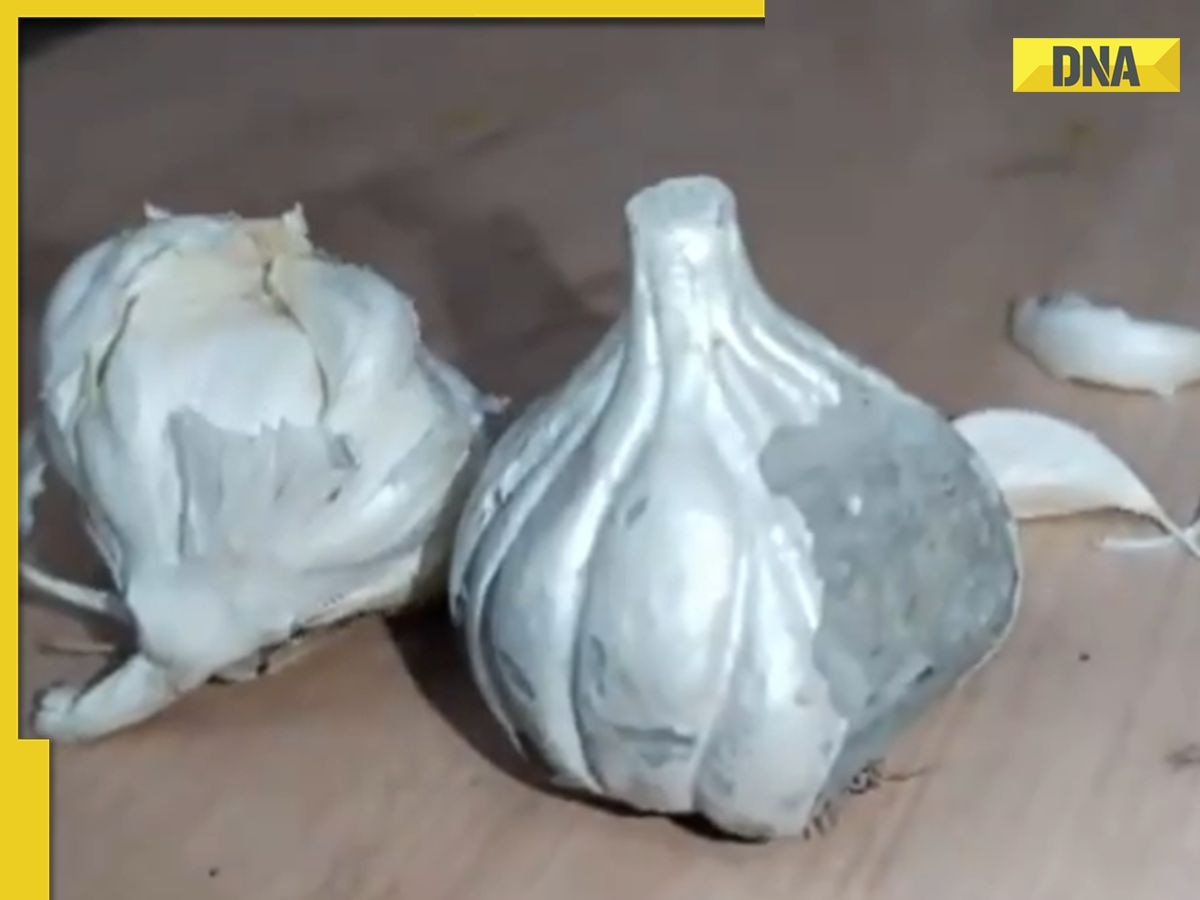 Viral Video: Fake garlic being made of this thing will leave you shocked; watch