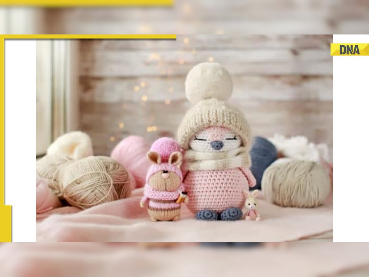 15 Best Crochet Animal Kits for Beginners and Experts