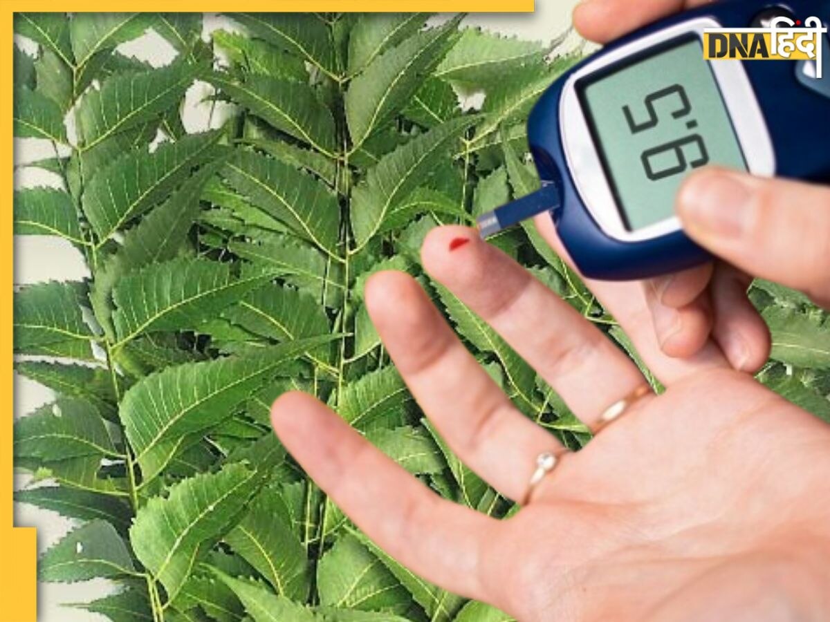 Blood Sugar Level को कंट्रोल कर देंगी इन 4 पौधों की पत्तियां, Diabetes मरीज के लिए हैं रामबाण