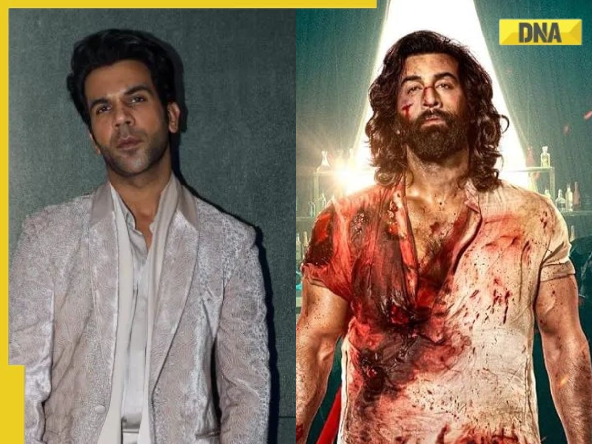 Rajkummar Rao says he 'enjoyed' Ranbir Kapoor's Animal, reacts to glorification of grey characters: 'If you want to...'