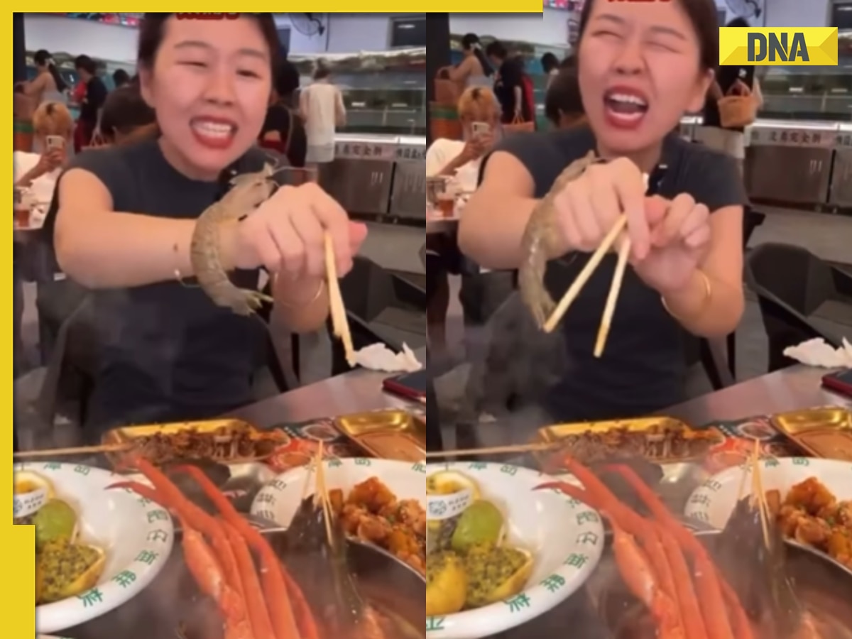 Viral video: Live shrimp fights back, spears diner's arm in boiling hot pot at Chinese restaurant, watch