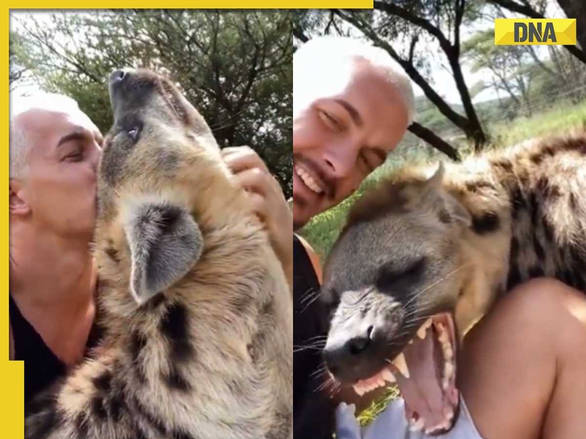 Viral video: Man cuddles with massive hyena, unlikely friendship shocks internet