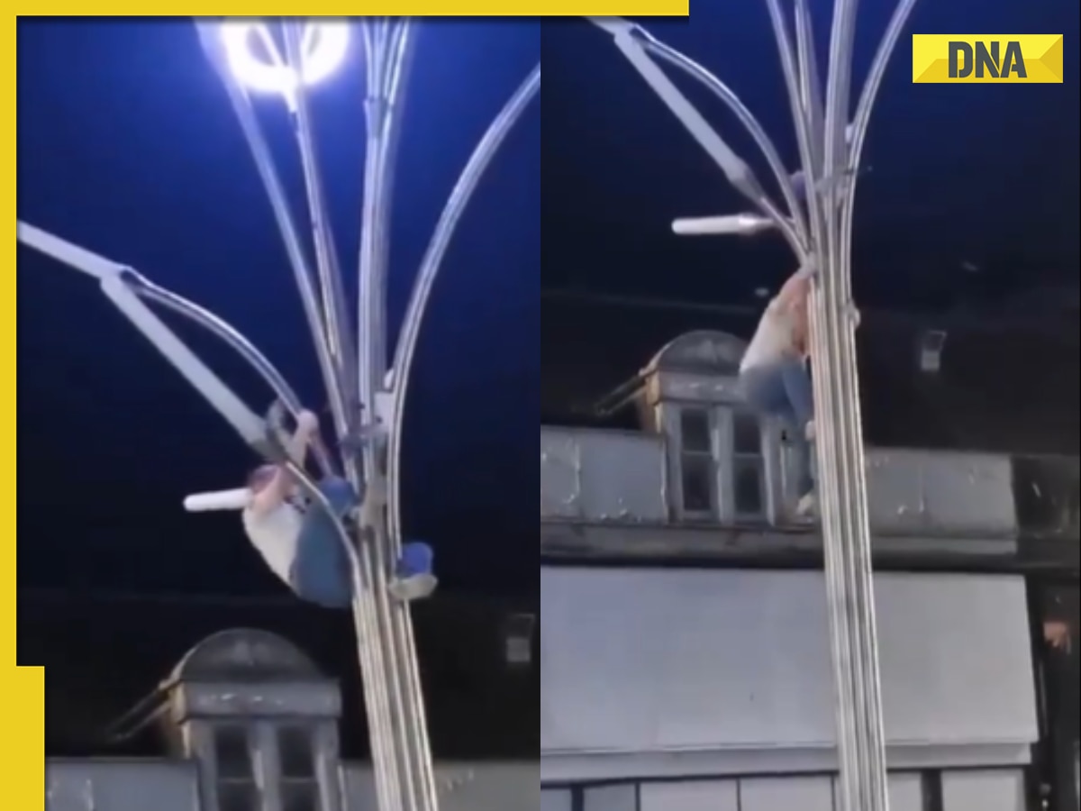 Viral video: Kind man climbs streetlight to free trapped seagull, internet is impressed