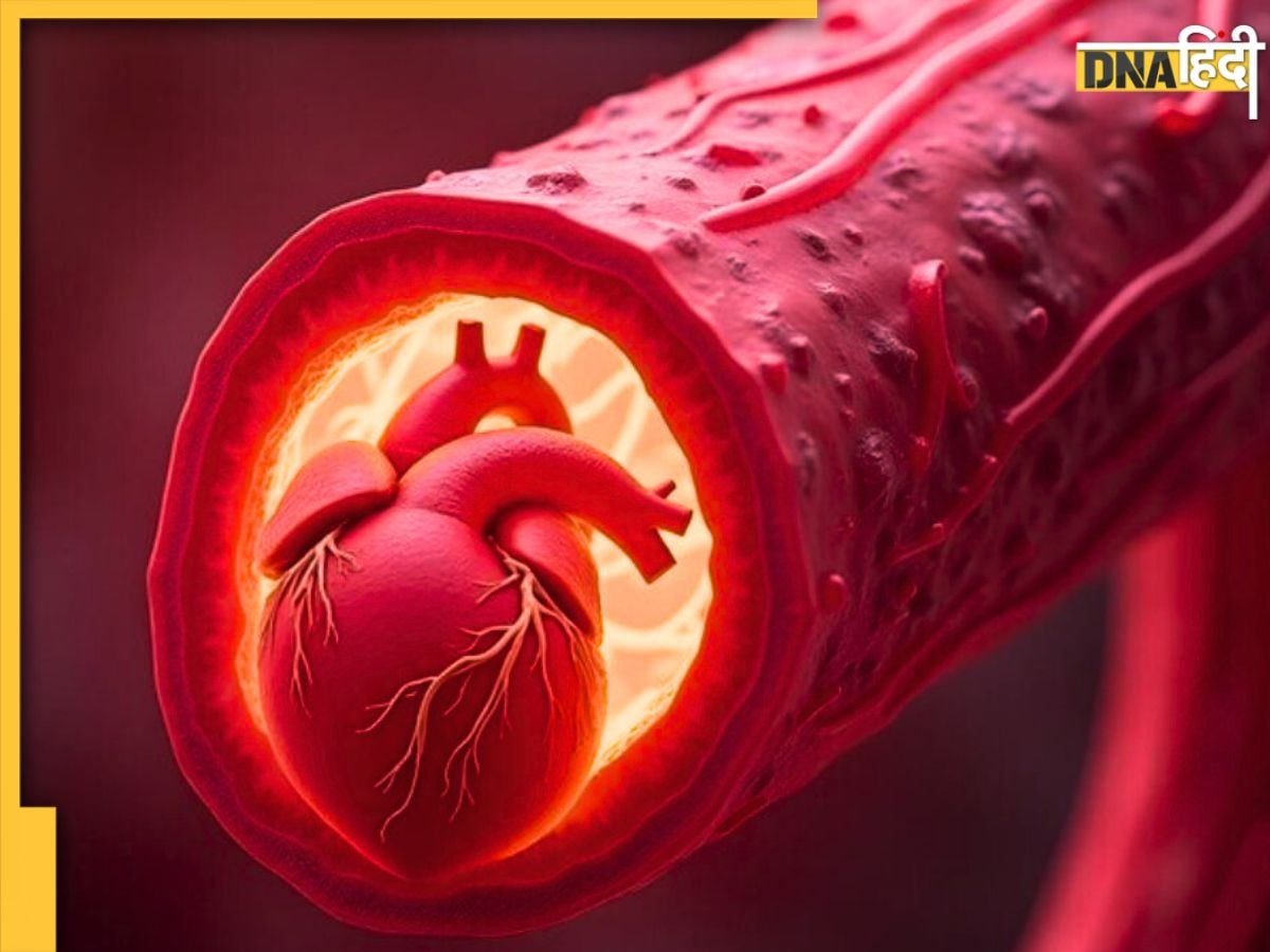 Cholesterol Remedy: ये 4 मसाले जो खून में घुले कोलेस्ट्रॉल को �सोखकर शरीर से करेंगे बाहर, ट्राइग्लिसराइड भी होगा कम