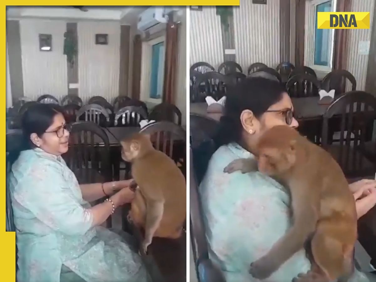 Monkey's adorable reaction on chant 'Hare ram' goes viral, watch video here