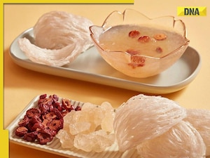 This bizarre soup is one of the world's most expensive dishes, it is made from....