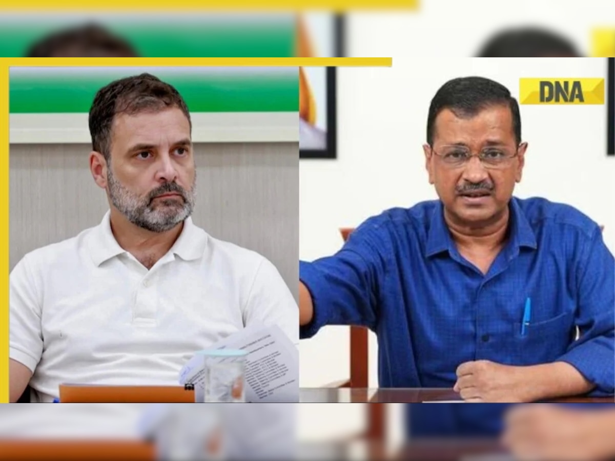 Haryana Assembly Elections 2024: Congress-AAP to announce alliance in Haryana? Rahul Gandhi, AAP MP Sanjay Singh say…