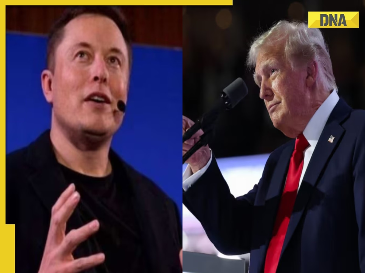 US Elections 2024: If elected to power, Donald Trump reveals this will be Elon Musk's role in Republican govt, says...