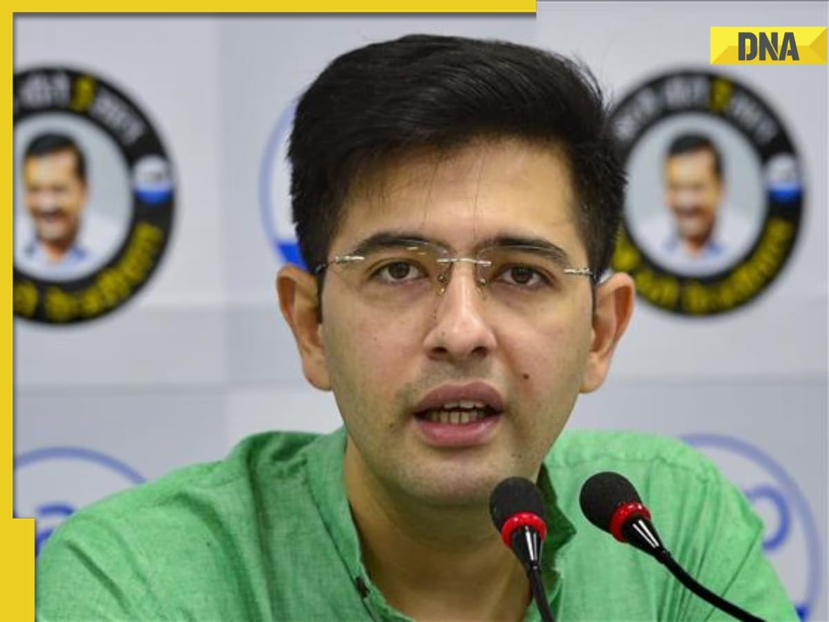 Haryana Assembly Polls: AAP MP Raghav Chadha gives big update on AAP-Congress alliance, says, ‘both parties trying to..'