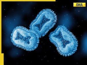 First suspected Mpox case detected in India: Know symptoms, prevention, transmission of this virus