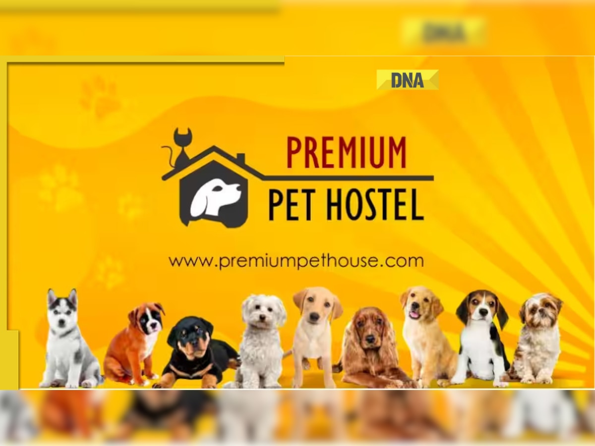 Premium Pet House Sells 300 Golden Retriever Puppies In August; Addresses The Breed’s Increasing Demand In India