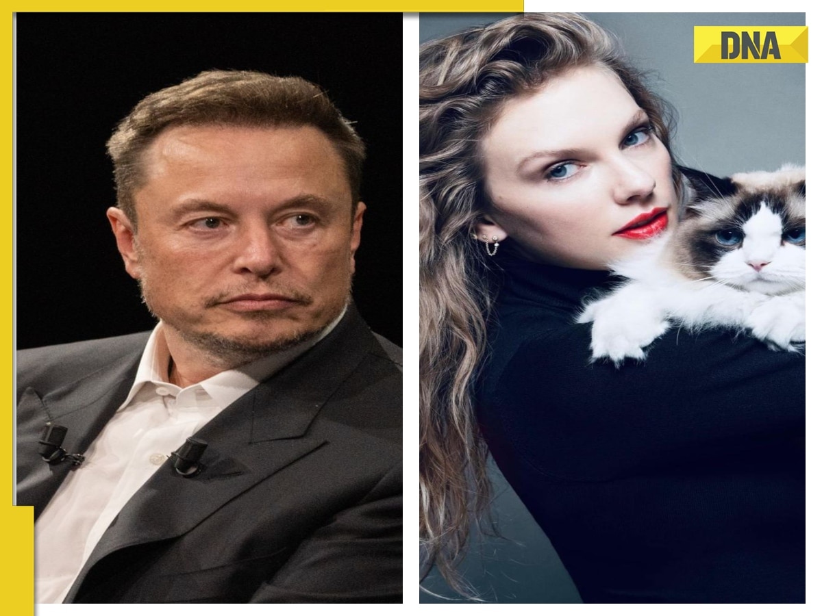 'Guard your cats..': Elon Musk mocks Taylor Swift for supporting Kamala Harris ahead of US Presidential Polls 