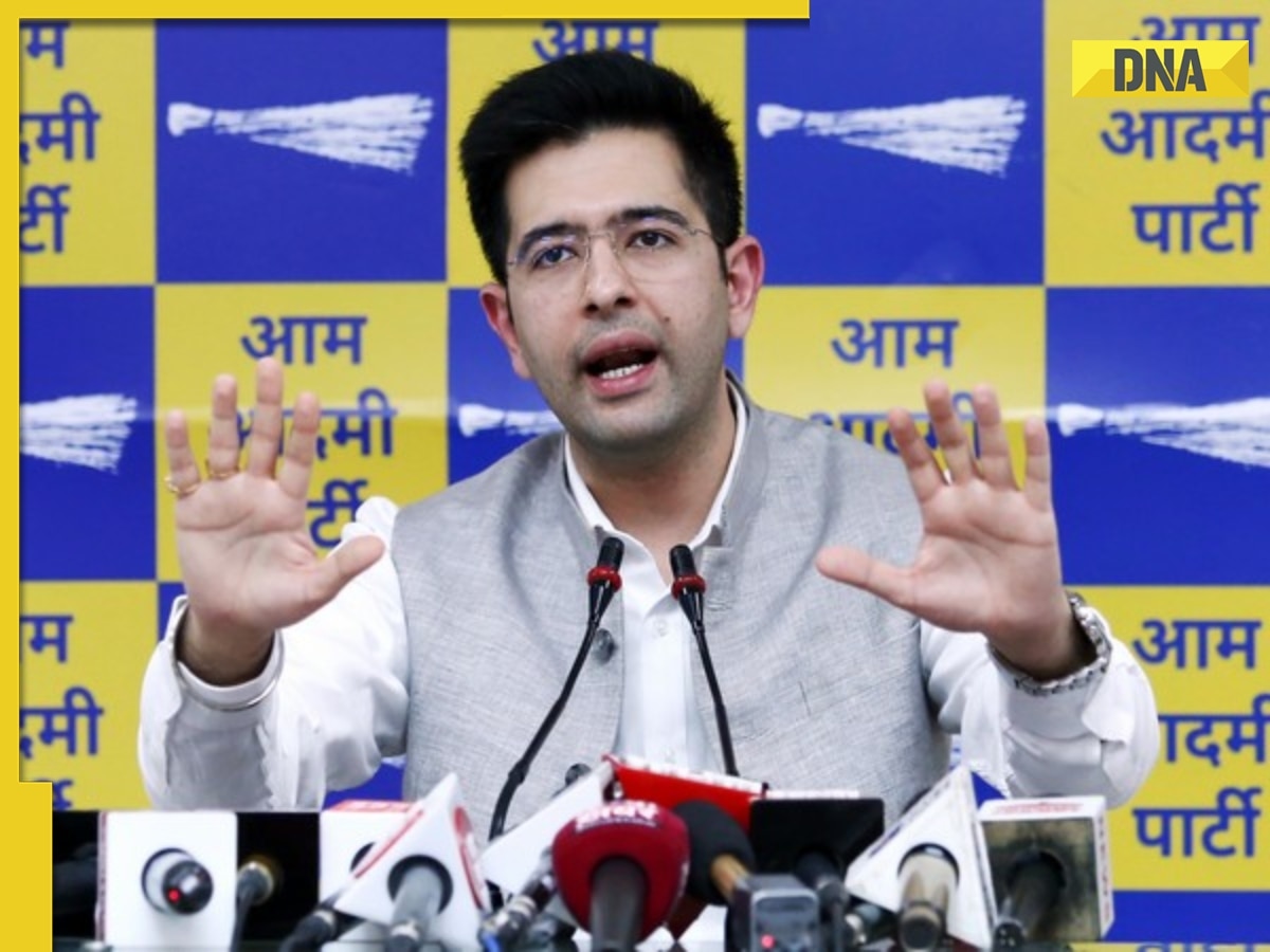 Raghav Chadha welcomes Arvind Kejriwal's bail by SC, says 'truth can be troubled but...'