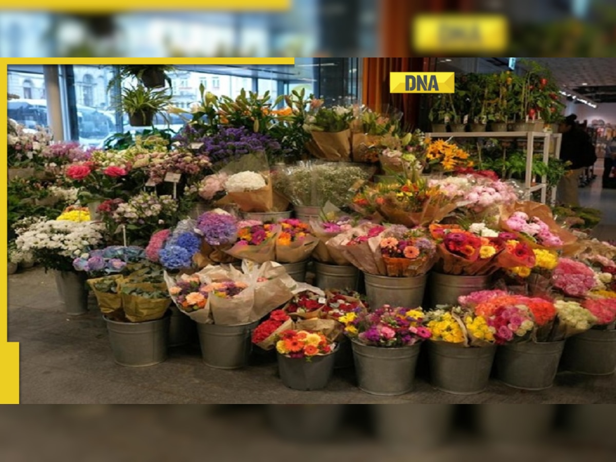 Guide to Seasonal Flowers Available in Singapore Throughout the Year