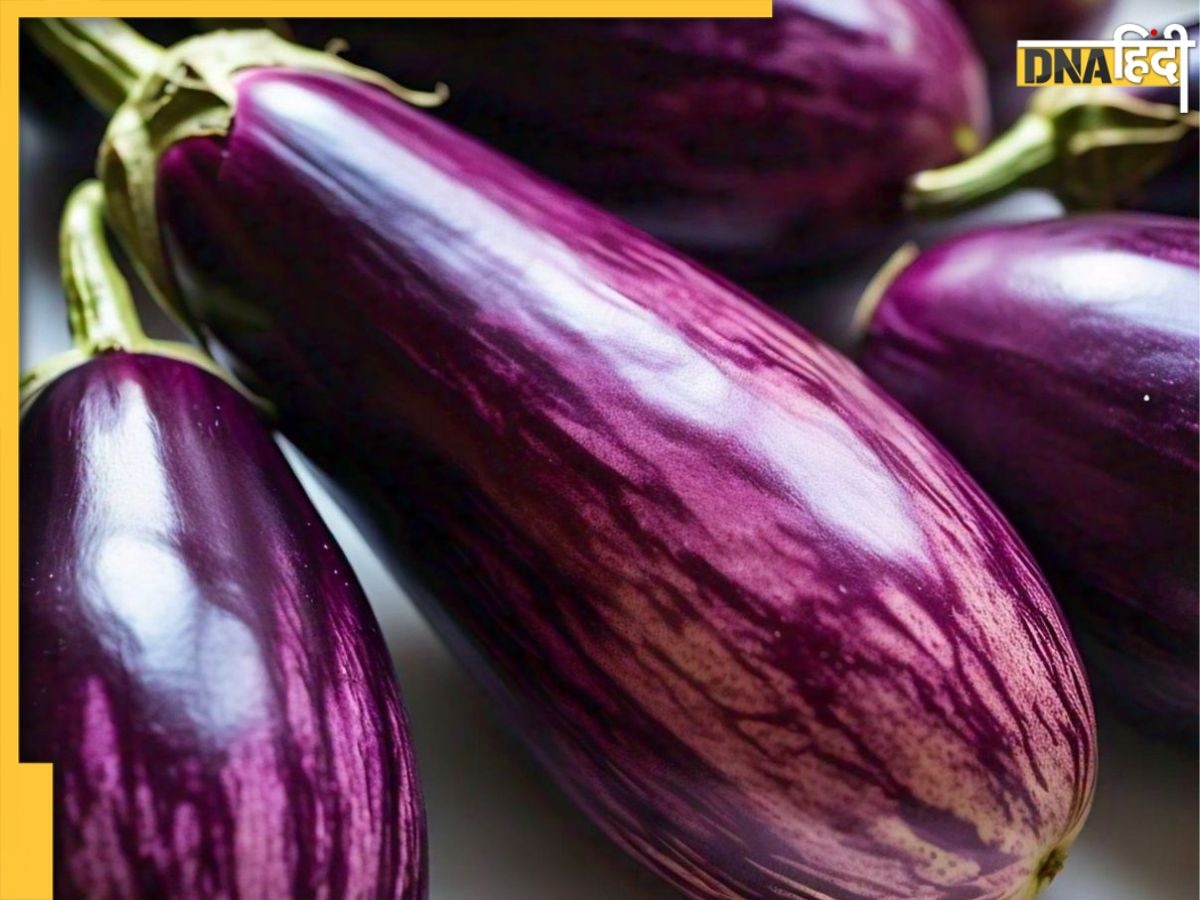 Brinjal Side Effects: इन 5 बीमारियों से जूझ रहे लोगों के लिए जहर है बैंगन, डाइट से तुरंत करें बाहर