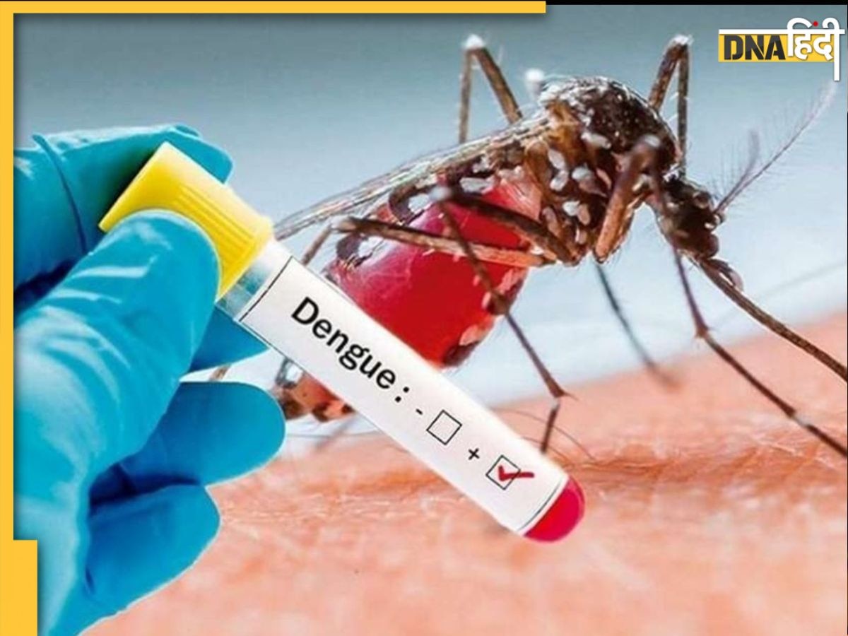 Dengue Symptoms: डेंगू के मरीजों में दिख रहे हैं ये नए लक्षण, खतरनाक साबित हो रहा पैरासिटामोल का ओवरडोज