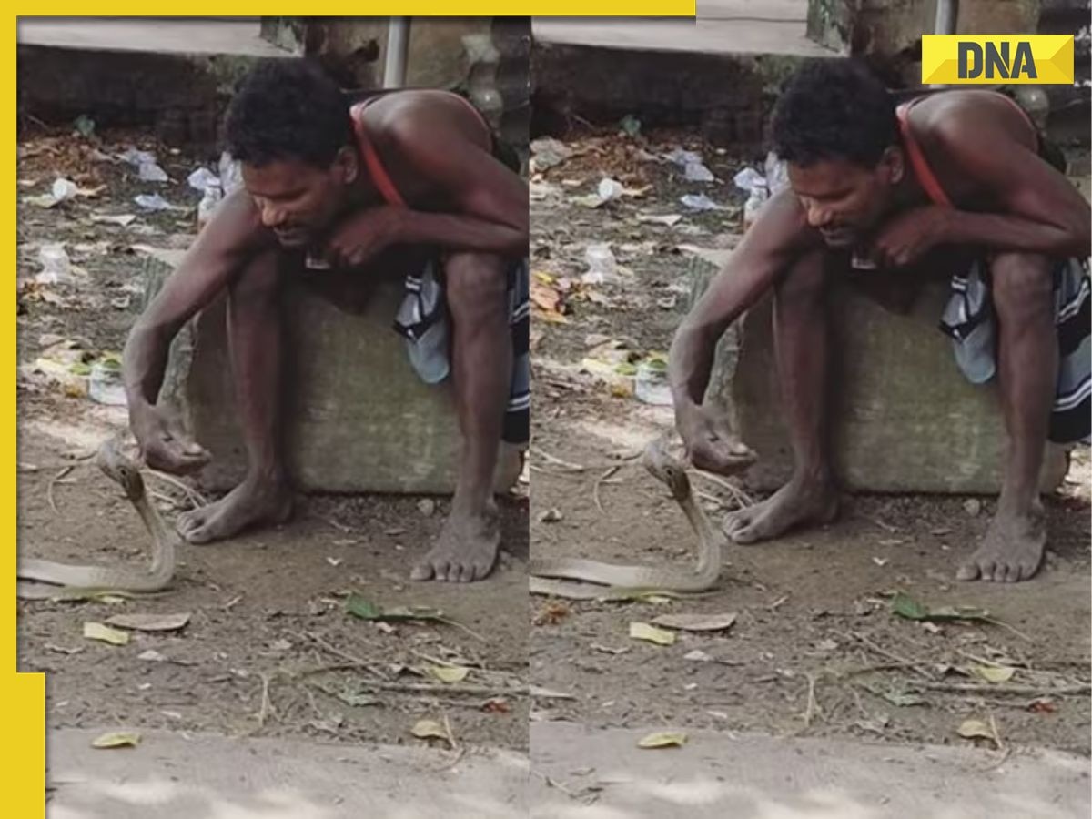 'May be snake also...': Video of drunk man fearlessly playing with cobra goes viral, watch