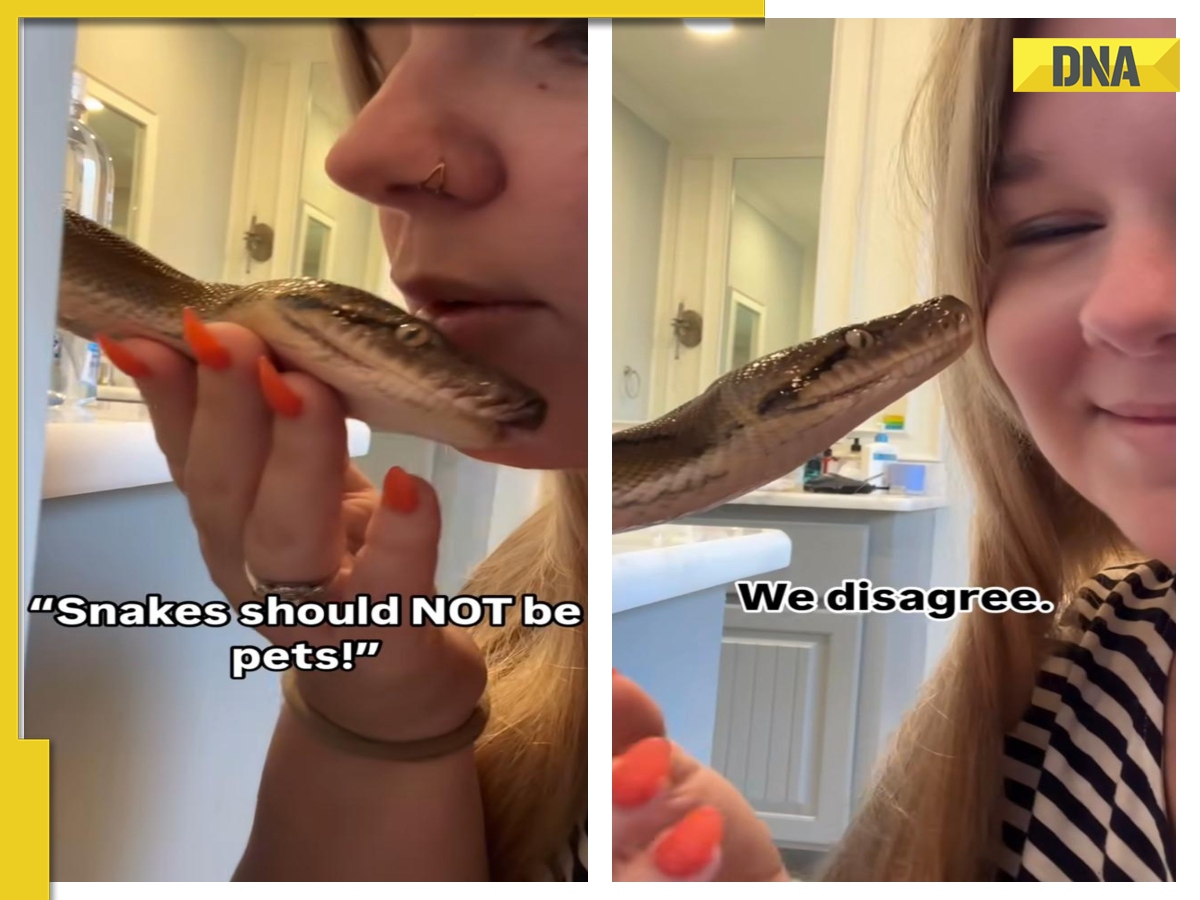 Viral video: 'Reptiles make pretty cool...': Woman pampers her pet ...