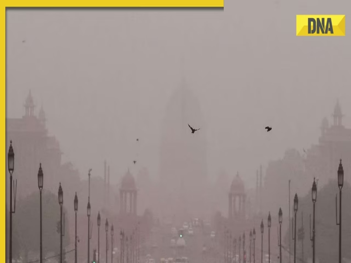 ‘It is all in the air’: SC raps Delhi air quality panel over pollution, stubble burning