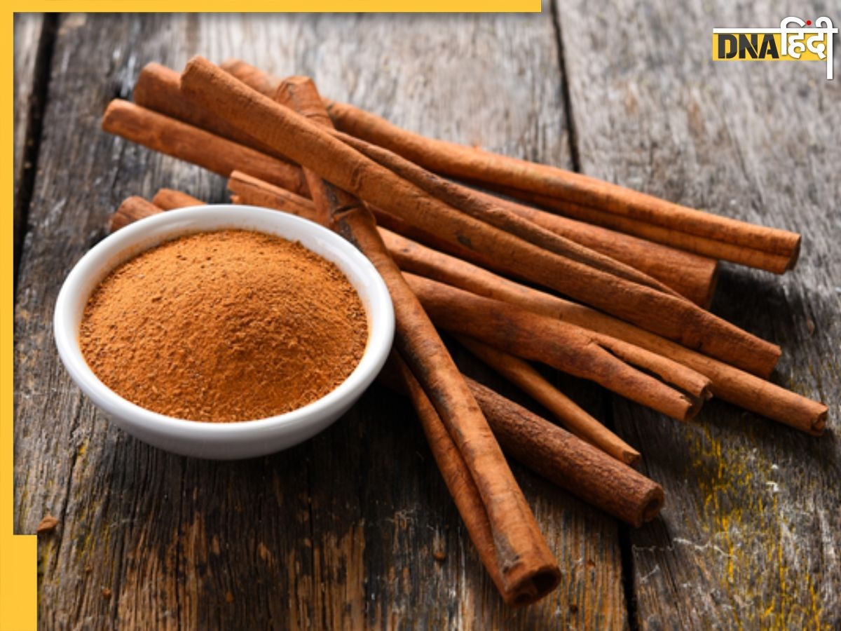 Cinnamon Benefits: इस भूरे मस�ाले की 1 चम्मच डायबिटीज से लेकर इंफेक्शन तक की कर देगी छुट्टी, खाते ही दिखेगा असर