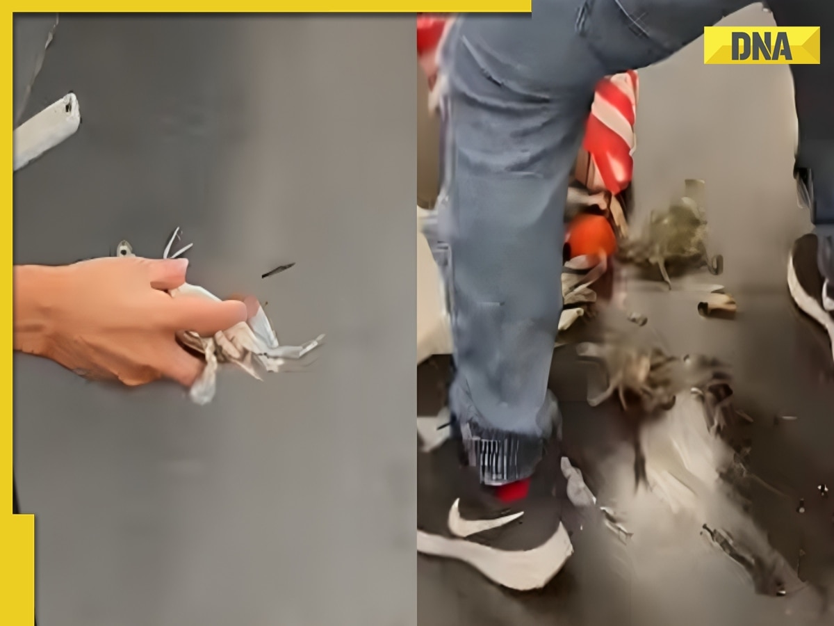 Watch viral video: Chaos in metro after live crabs fall out of woman's bag, here's what happened next