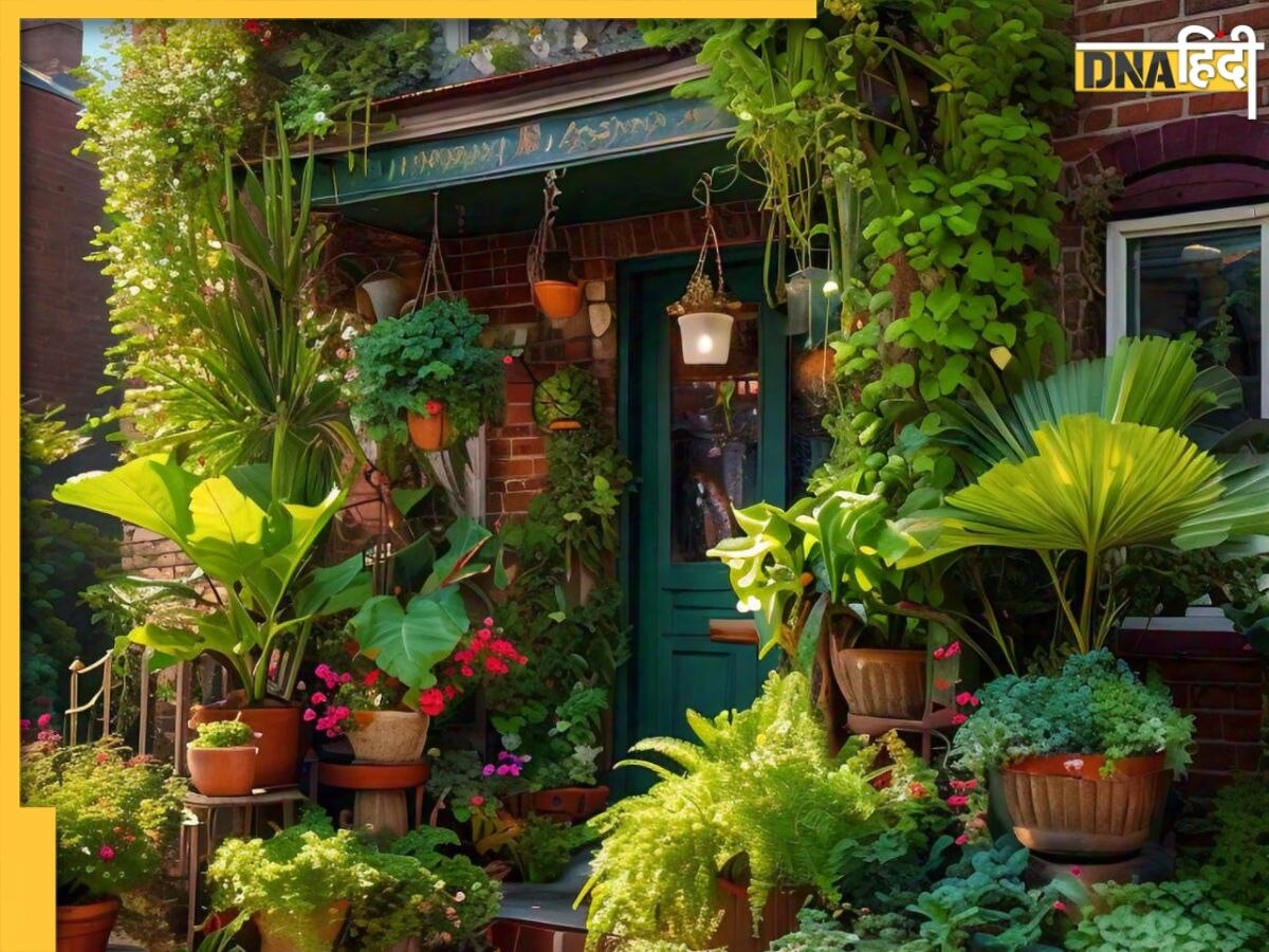 Ominous Plants for Home: मनहूसियत लाते हैं ये पौधे, घर में लगाने से मिलता है मानसिक और आर्थिक कष्ट 