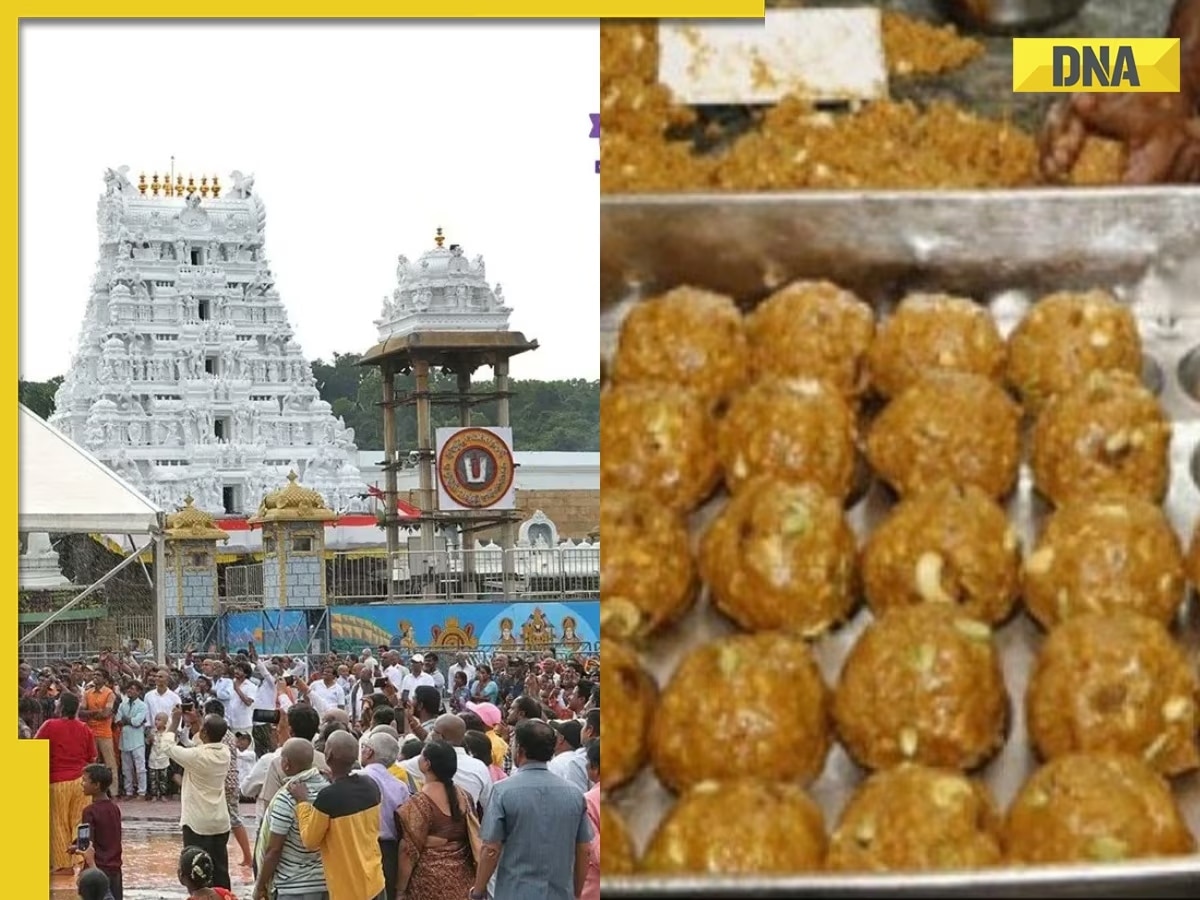 DNA TV Show: Is Tirupati laddus case being used for political gains?