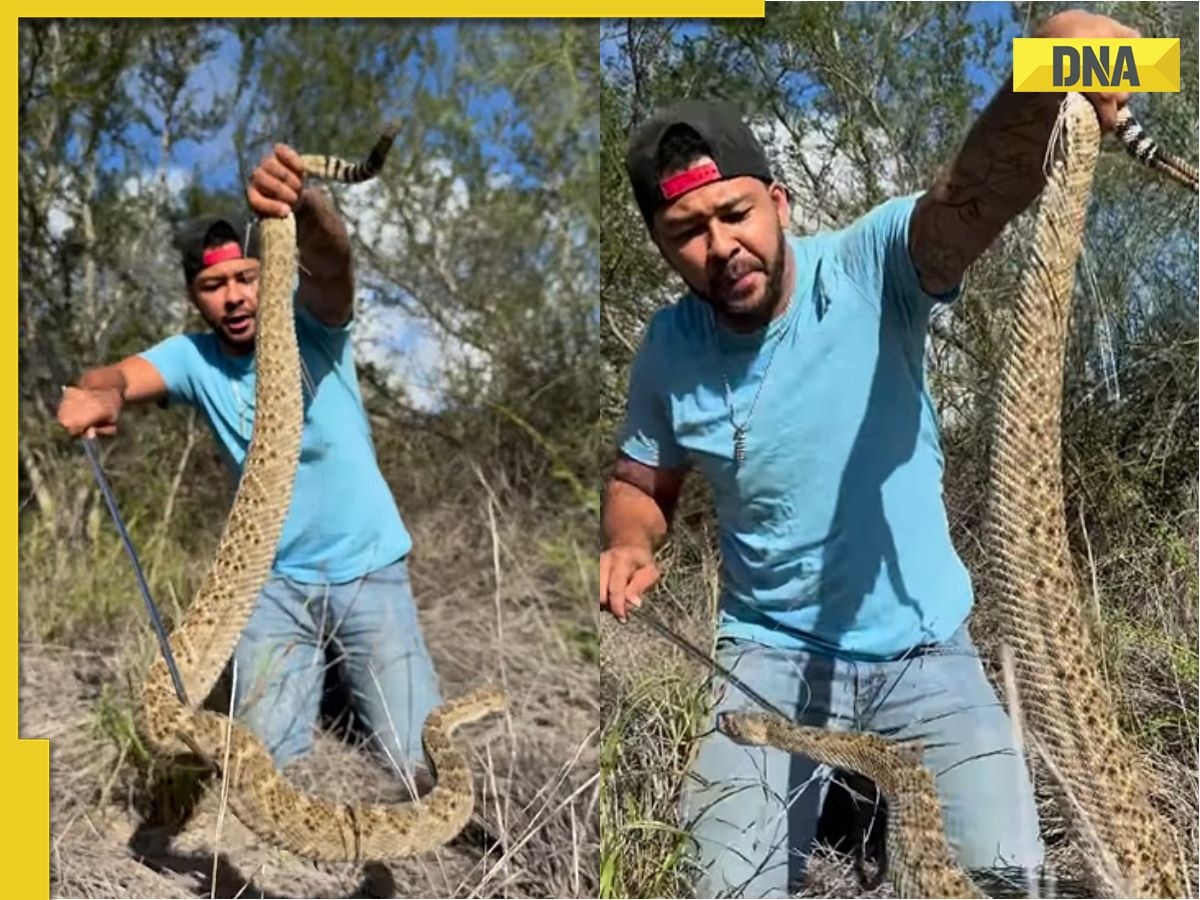 Watch: Man captures rattlesnake with bare hands, viral video sparks outrage