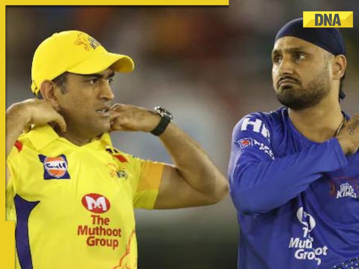 'Absolute rubbish': CSK physio slams Harbhajan Singh for saying MS Dhoni 'punched screen' after loss to RCB in IPL