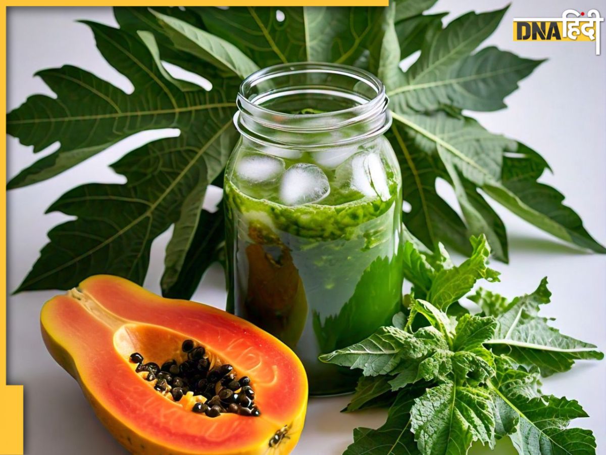 Papaya leaf benefits in hindi best sale