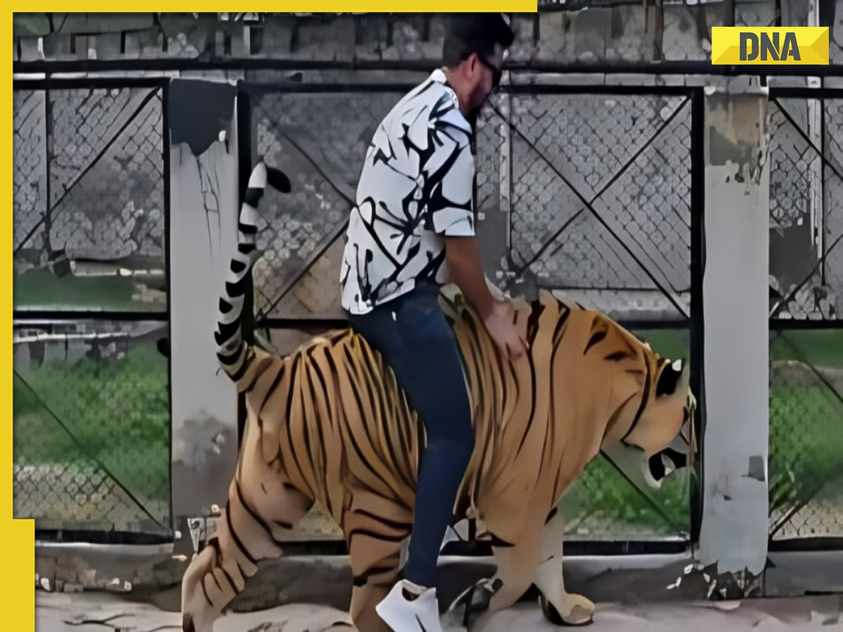 Pakistani man rides tiger in viral post, internet calls it stupid, watch video here