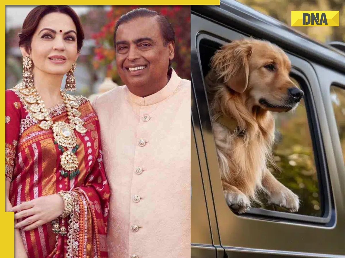 Meet Mukesh Ambani, Nita Ambani's pet dog who travels in Mercedes worth Rs 4 crore, flies in private jet, also has...