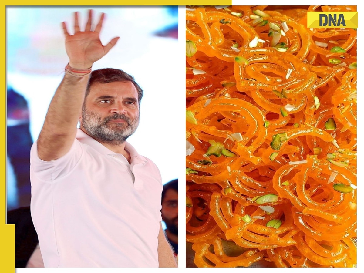 A sweet revenge: BJP orders 1 kg 'Jalebi' for Rahul Gandhi, Congress workers after mega Haryana win 