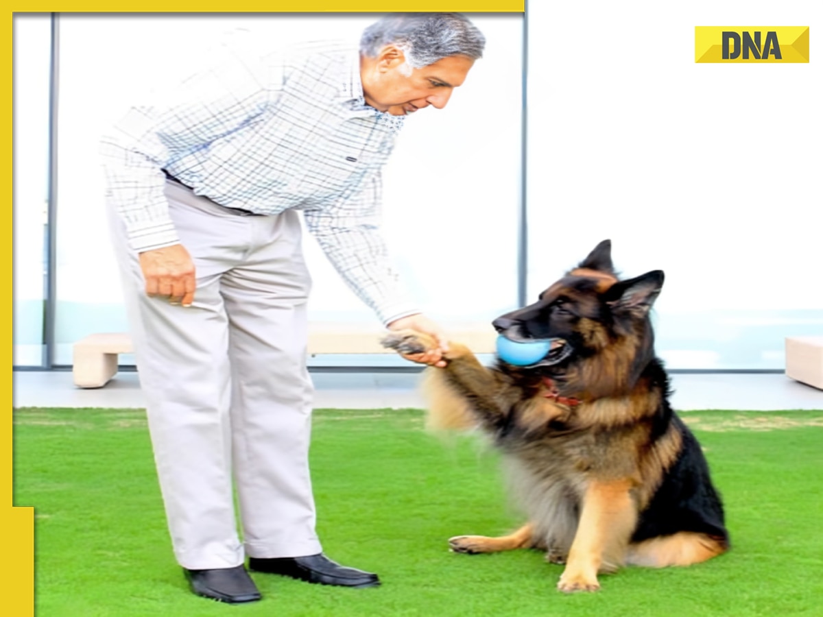 When Ratan Tata skipped British Royal ceremony and chose his dogs Tango and Tito instead, check story behind